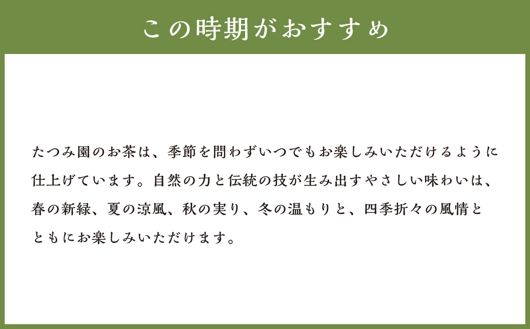 八女茶Rooji＋玉露入り煎茶ティーバッグ×1個