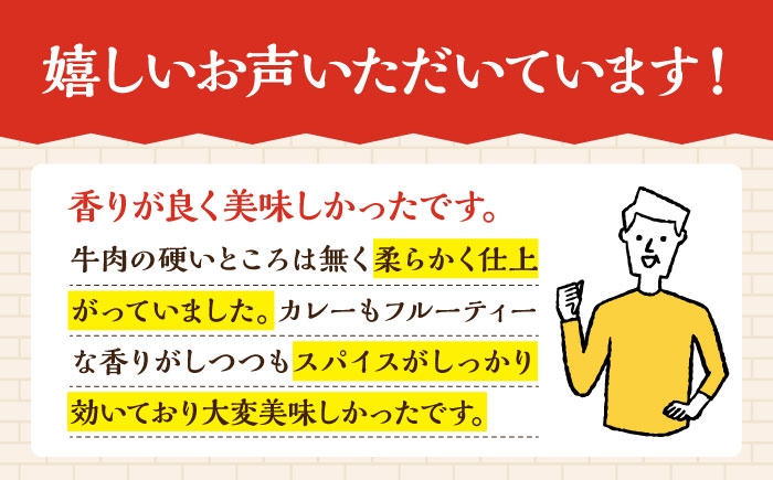 【12回定期便】薬膳スパイスビーフカレー 4食（200g×4） /自然庵 [UCQ009] カレー レトルトカレー 牛肉 牛 ビ