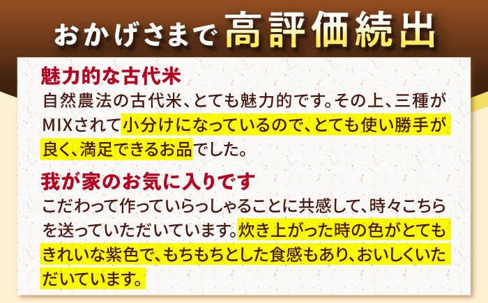【6回定期便】自然農法で育てた 古代米 三穀米 1.2kg（300g×4袋）雑穀 雑穀米 米 お米