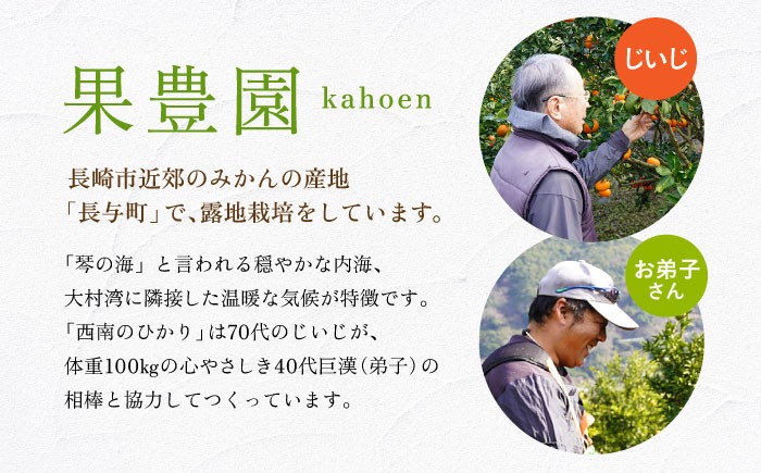 柑橘 果物 フルーツ みかん ミカン ご家庭用 長与町 長崎県 国産 九州 産地直送 旬 甘い 濃厚 希少