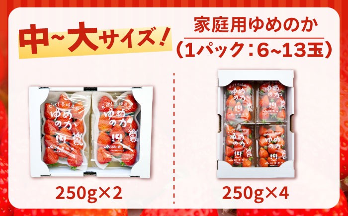  まとめ買い 人気 便利  贈り物 ギフト 食材  イチゴ 苺 フルーツ 果物