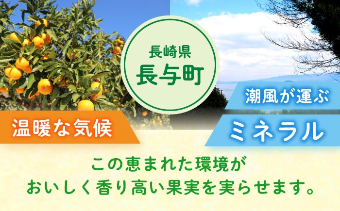 柑橘 果物 フルーツ みかん ミカン ご家庭用 長与町 長崎県 国産 九州 産地直送 旬 甘い 濃厚 希少