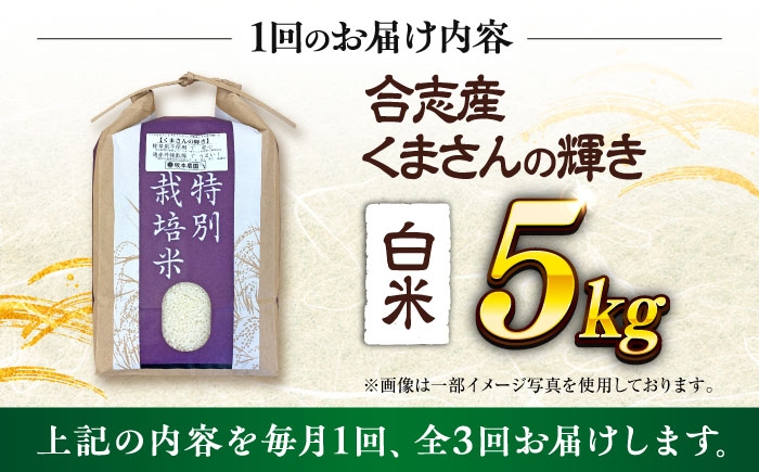 くまさんの輝き 白米 5kg 計15kg 米 お米