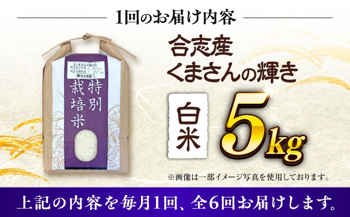 くまさんの輝き 白米 5kg (1袋) 米 お米 白米 ライス こめ お米 5キロ