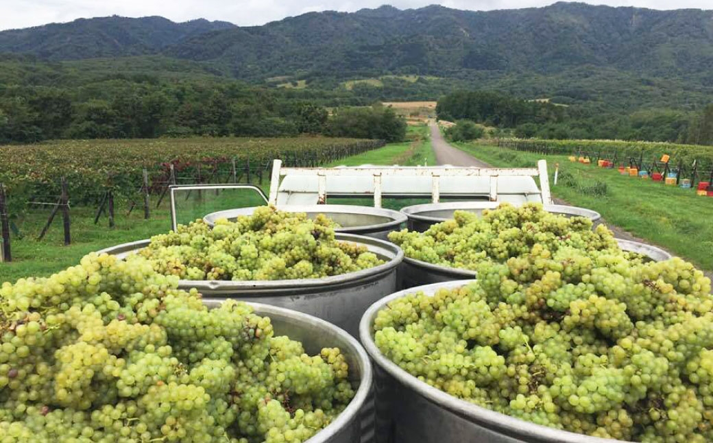 鶴沼収穫ワイン3本セット