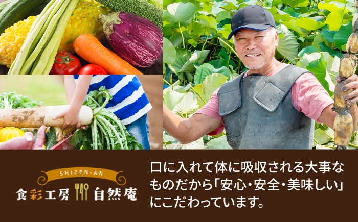 【6回定期便】薬膳スパイスカレー ファミリーセット（チキンカレー 4食 ビーフカレー 4食） /自然庵 [UCQ011] カレー