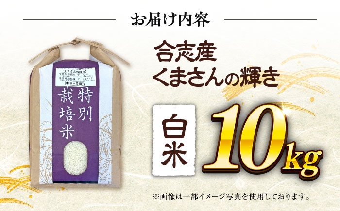 くまさんの輝き 白米 10kg (1袋)  米 お米 白米 お米 10キロ