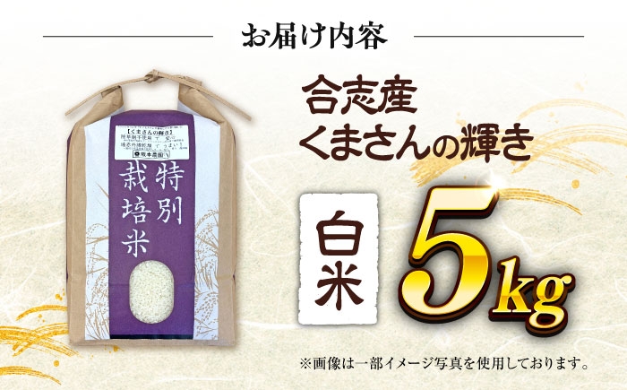 くまさんの輝き 白米 5kg (1袋)   米 お米 白米 ライス こめ お米 5キロ