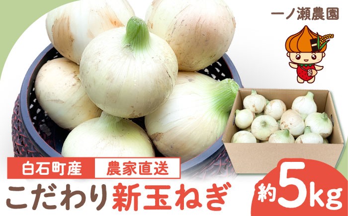 玉ねぎの名産地！みずみずしくておいしい！