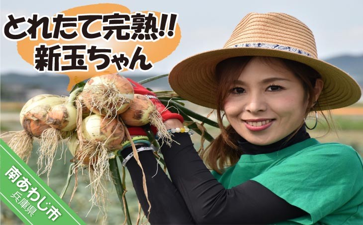★新玉予約★ 淡路島玉ねぎ とれたて完熟!! 新玉ちゃん 5kg