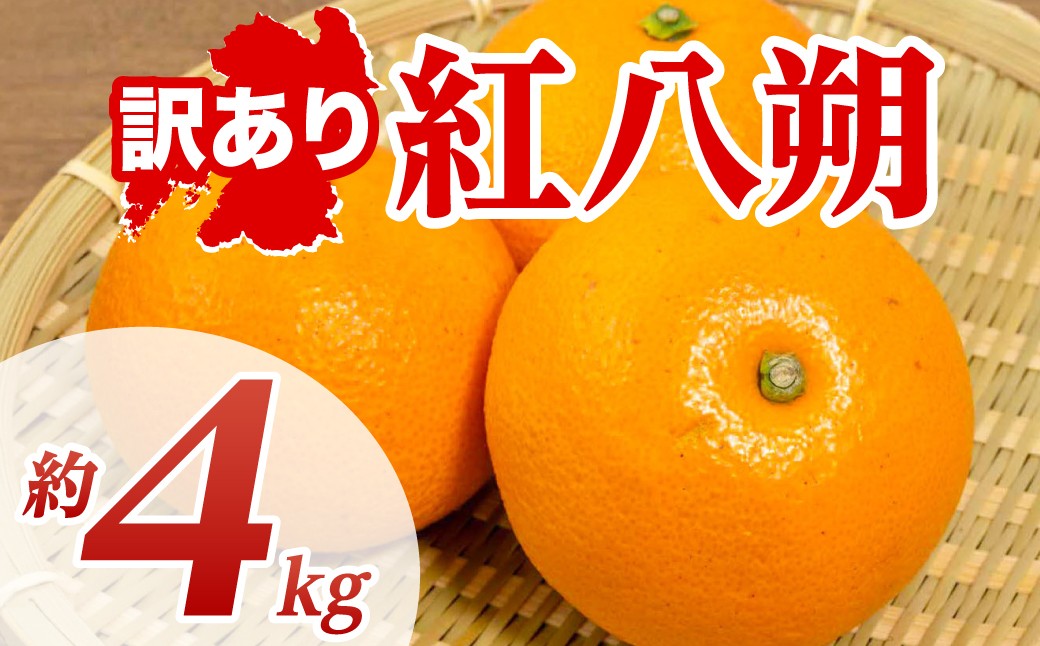 【訳あり】 紅八朔 約4kg