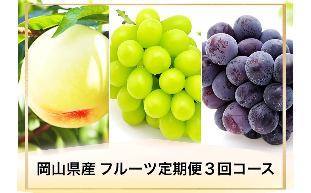 【 全3回定期便 】 岡山県産 フルーツ定期便 ＜ お一人様向け ＞