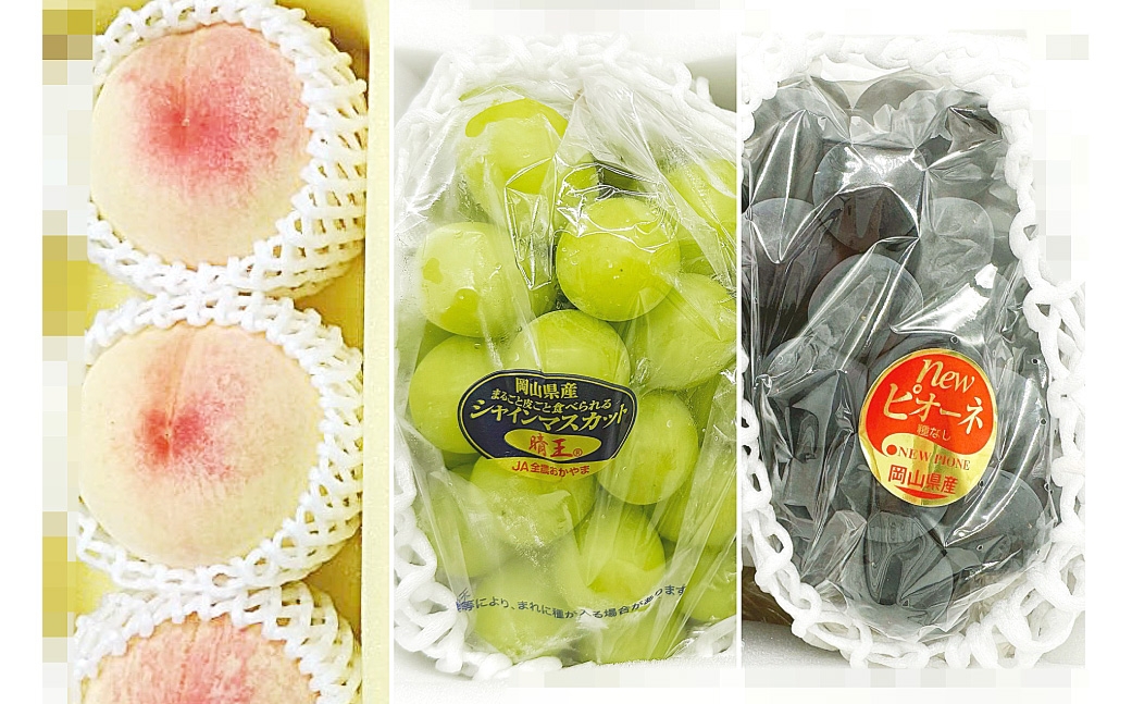 【 全3回定期便 】 岡山県産 フルーツ定期便 ＜ お一人様向け ＞