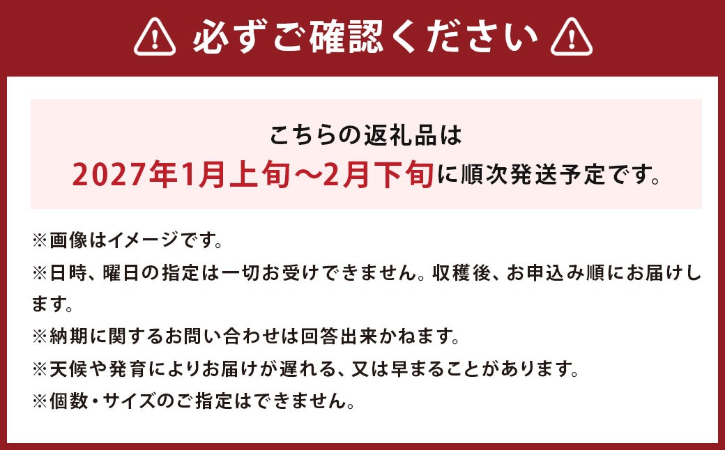 じゃがいも きたかむい Lサイズ 約10kg×2箱 計約20kg （JA）
