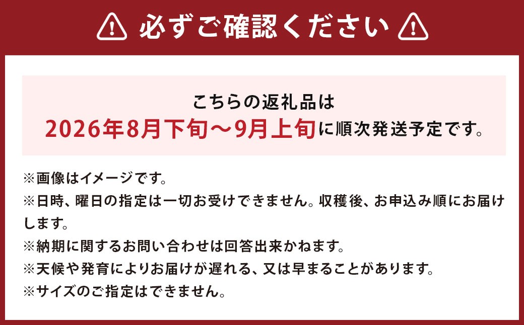 スイートコーン 味来 2Lサイズ 13本入×2箱 計26本 （JA）