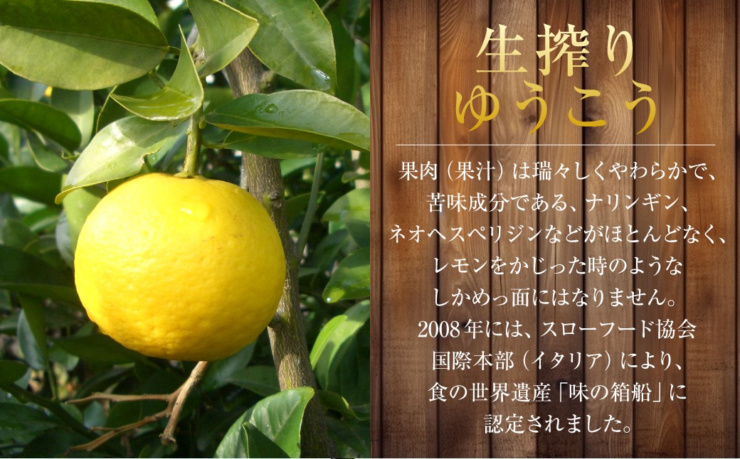 生搾りゆうこう果汁100％ ／ 飲料 調味料 果汁 ジュース 果物 フルーツ 柑橘 