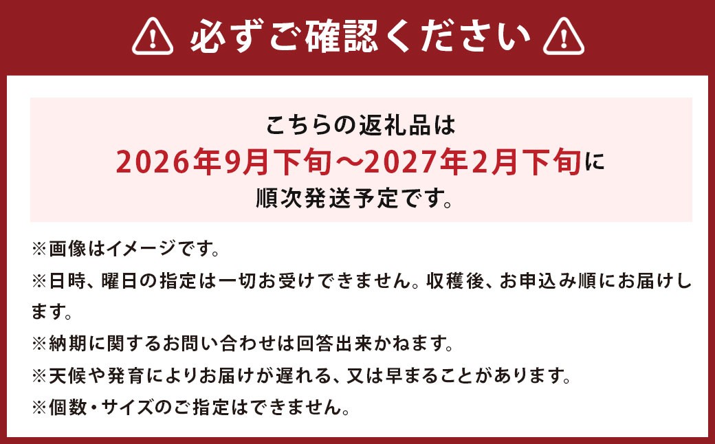 じゃがいも（男爵） Lサイズ 約5kg×1箱 約5kg（JA）