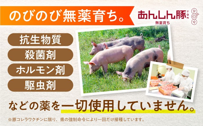 のびのび無薬育ちのあんしん豚。抗生物質やホルモン剤を使わず、草原で健康に育つ豚たち。