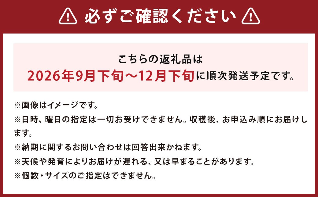 じゃがいも 男爵 キタアカリ  Lサイズ 各約5kg×1箱 計約10kg （JA）