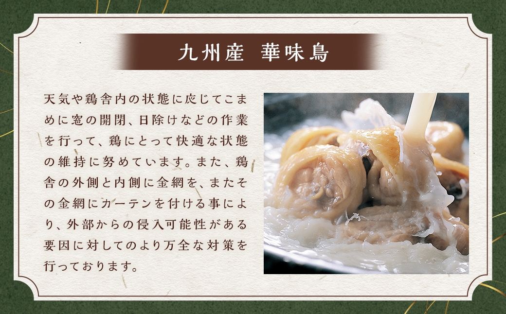 博多華味鳥水たき･もつ鍋セット （ 各3～4人前 ）