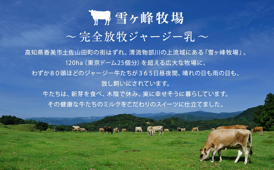 ロールケーキ2種セット（金時芋・ジャージー）