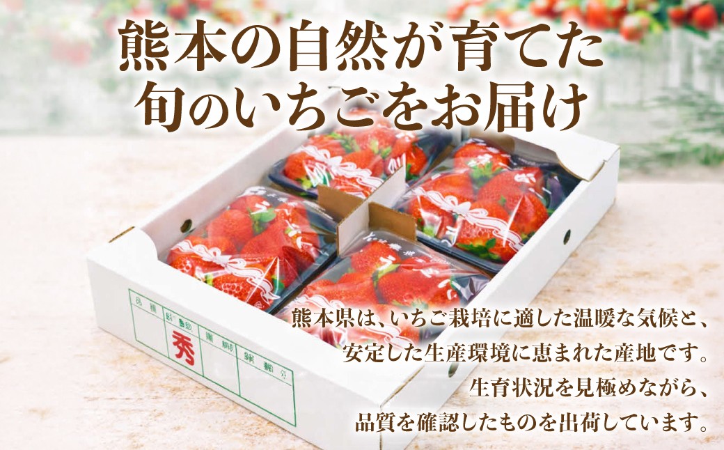 熊本の自然が育てた旬のいちごをお届けします。