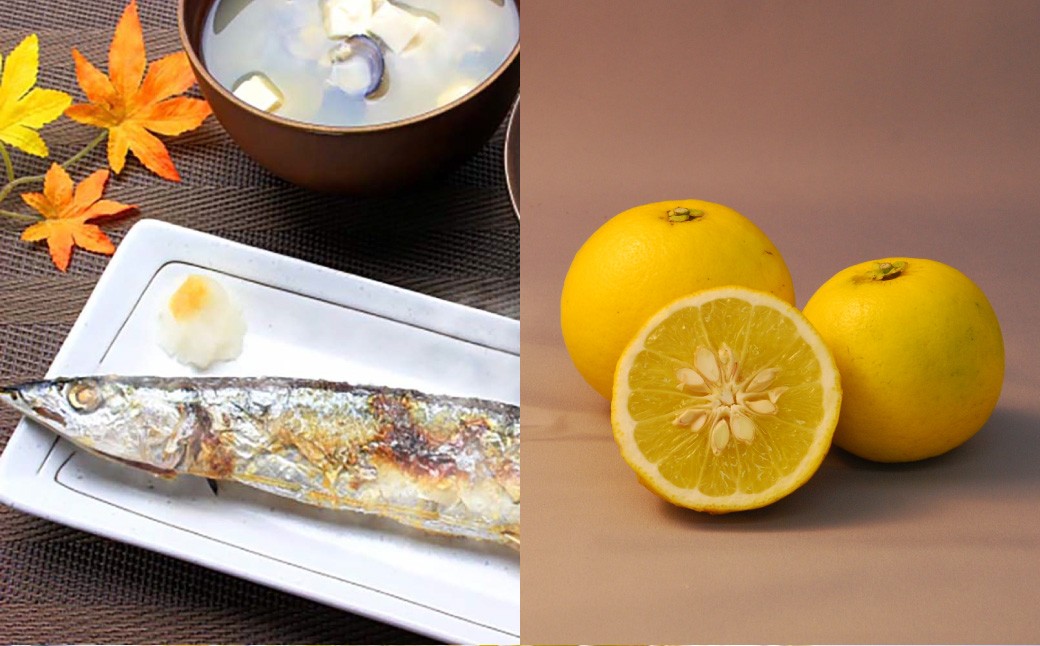 長崎薬味ゆうこう胡椒 (50g) 10ヶ ／ ごま ゴマ 柑橘類 薬味 調味料 長崎県 長崎市