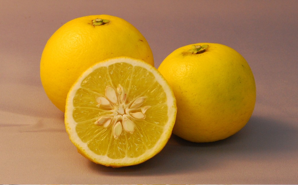 生搾りゆうこう果汁100％ ／ 飲料 調味料 果汁 ジュース 果物 フルーツ 柑橘 