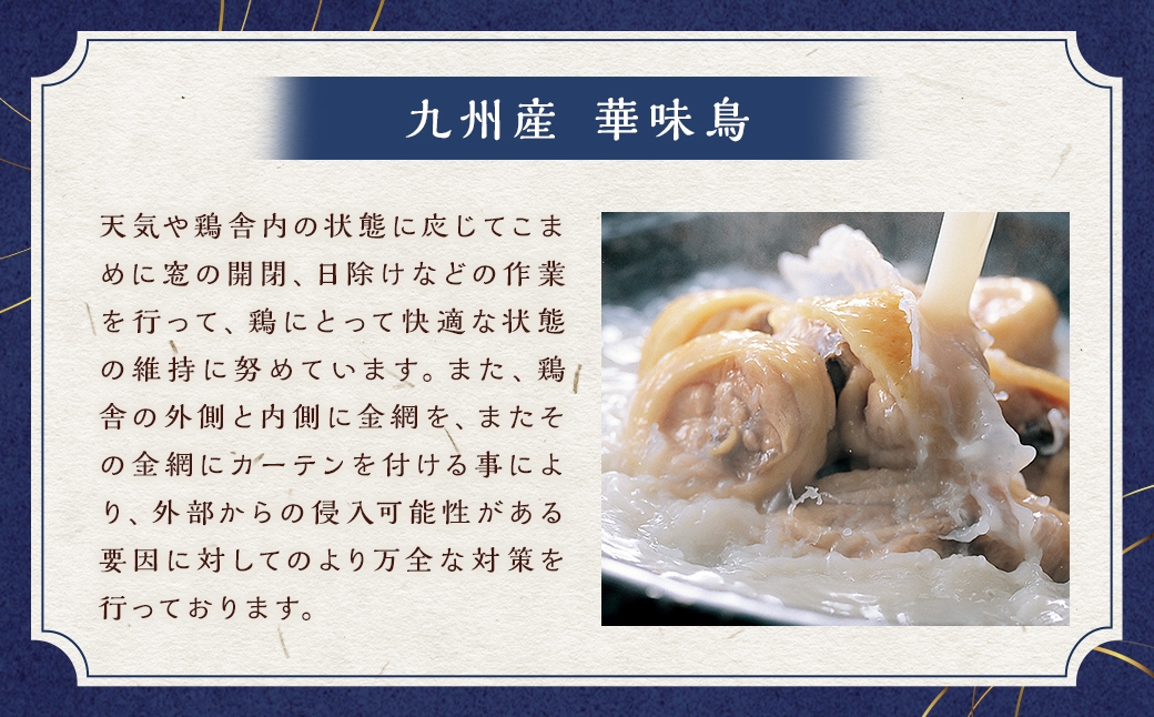 博多華味鳥の水たきセット ちゃんぽん麺付き （ 3～4人前 ）