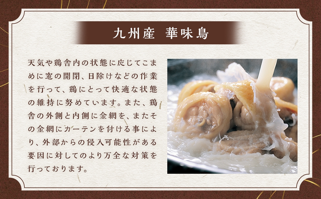 博多華味鳥もつ鍋セット （ 3～4人前 ）