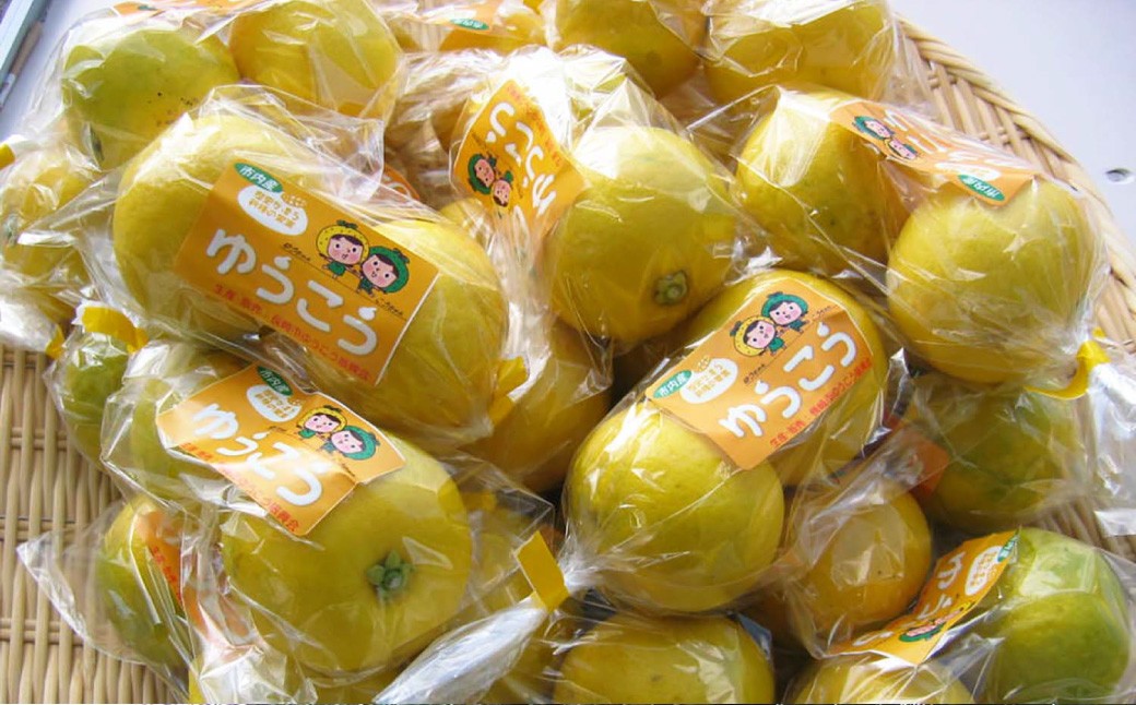 生搾りゆうこう果汁100％ ／ 飲料 調味料 果汁 ジュース 果物 フルーツ 柑橘 