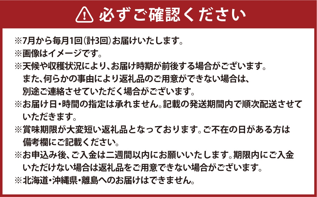 【 全3回定期便 】 岡山県産 フルーツ定期便 ＜ お一人様向け ＞