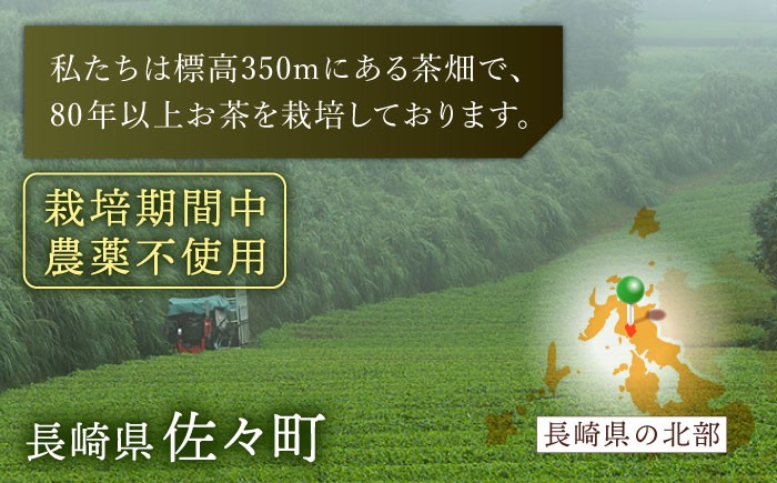 釜炒り ギャバロン茶 ティーバック：20個入り×3袋 緑茶 お茶