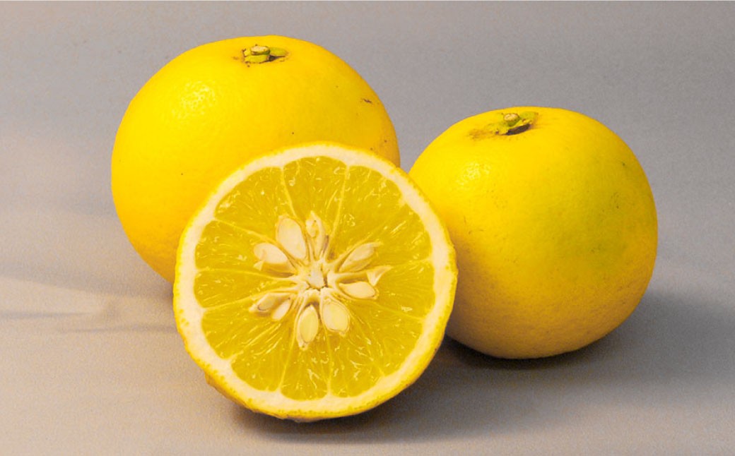 龍の泪 (ゆうこう) 180ml 5本セット ／ 調味料 ポン酢 ぽん酢 長崎ゆうこう 柑橘