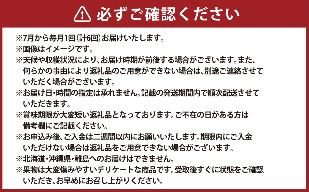 【 全6回定期便 】岡山県産フルーツ定期便お一人様向け