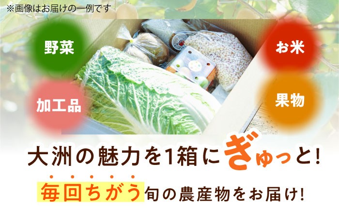 毎回ちがう旬の農産物定期便