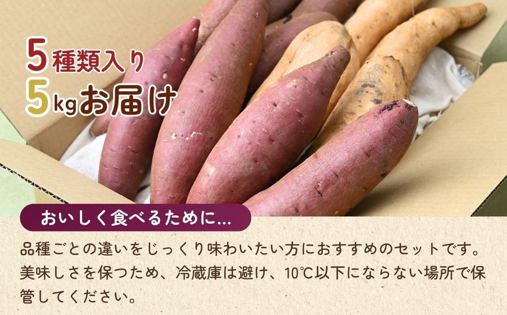 さつまいも サツマイモ さつま芋 焼き芋 食べ比べ 5kg セット ふくむらさき くりこがね ひめあやか ゆきこまち ひめあずま