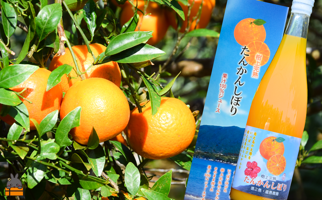 徳之島の美味しい完熟たんかん使用※イメージです。