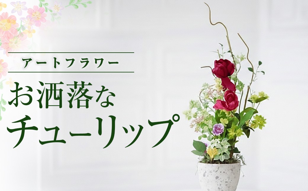 赤紫のチューリップ