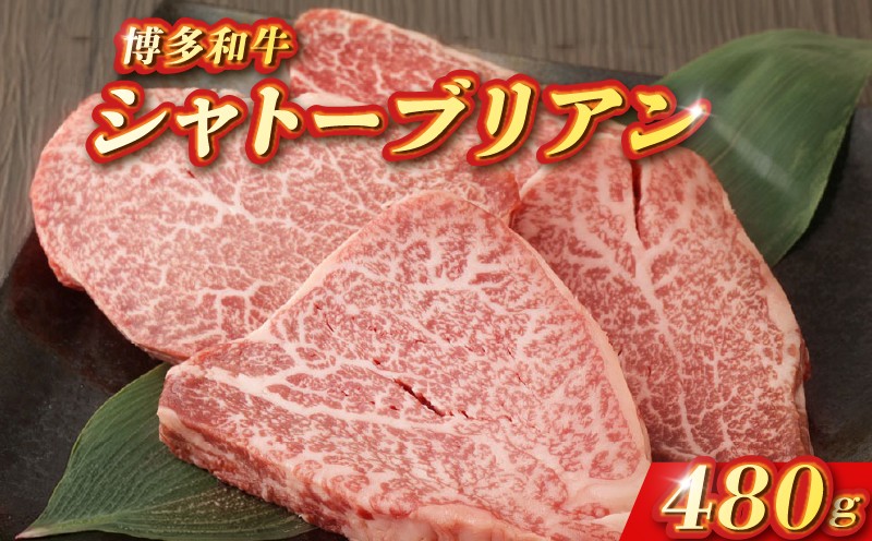 柳川産 博多和牛 シャトーブリアン 約120g×4 計480g