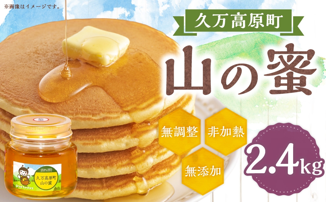 久万高原町 山の蜜 2400g 久万高原町産 純粋 蜂蜜 ハチミツ 【えひめの町（超）推し！（久万高原町）】（332）