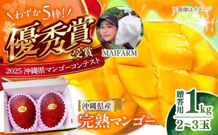 沖縄県産 完熟マンゴー 贈答用 1kg (2〜3玉) マンゴー 沖縄 果物 フルーツ ギフト まんごー 1kg Mango