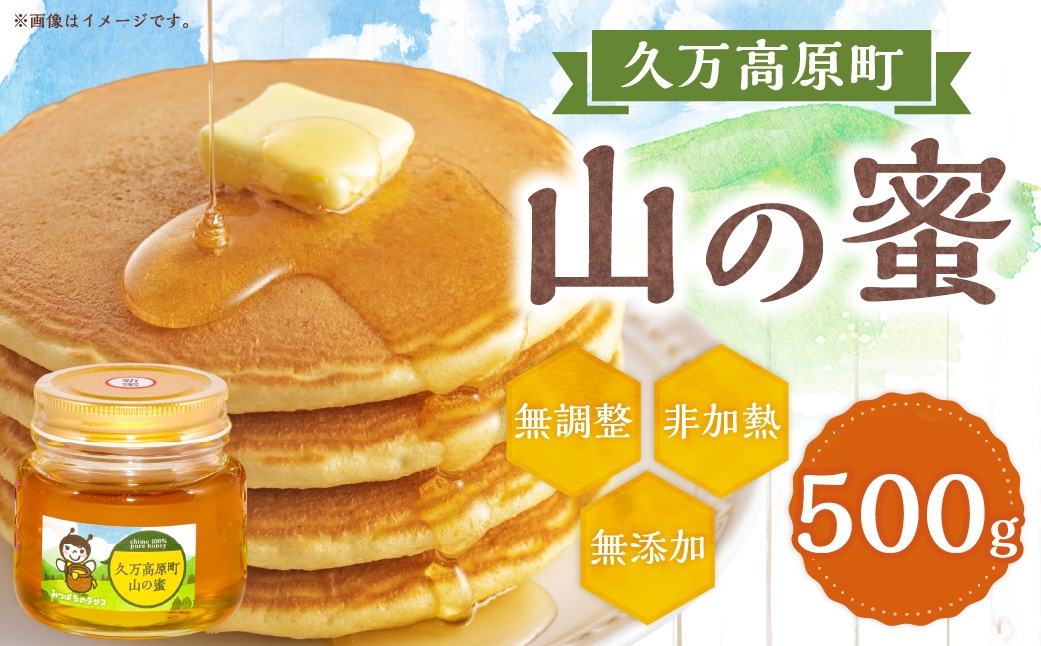 久万高原町 山の蜜 500g 久万高原町産 純粋 蜂蜜 ハチミツ【えひめの町（超）推し！（久万高原町）】（330）