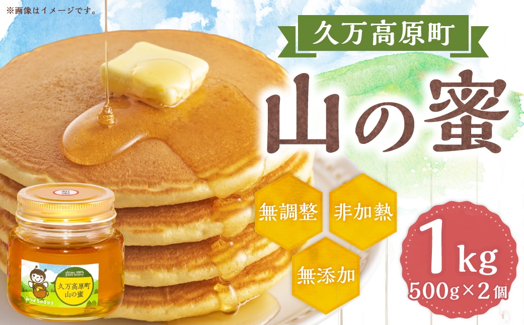 久万高原町 山の蜜 1000g （500g×2） 純粋 蜂蜜 ハチミツ 【えひめの町（超）推し！（久万高原町）】（335）