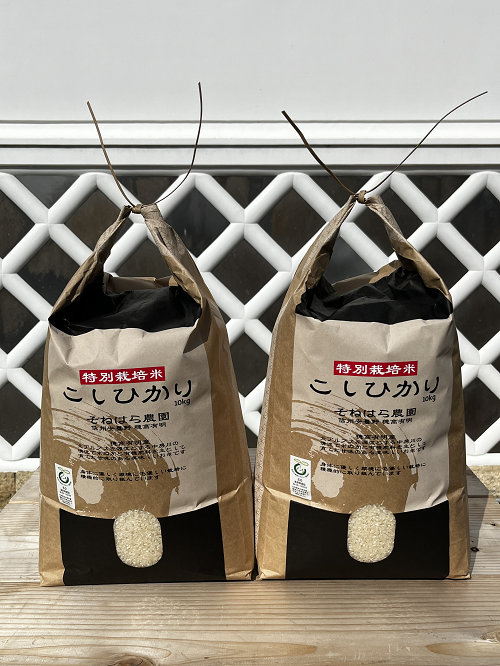 精米
写真はイメージです