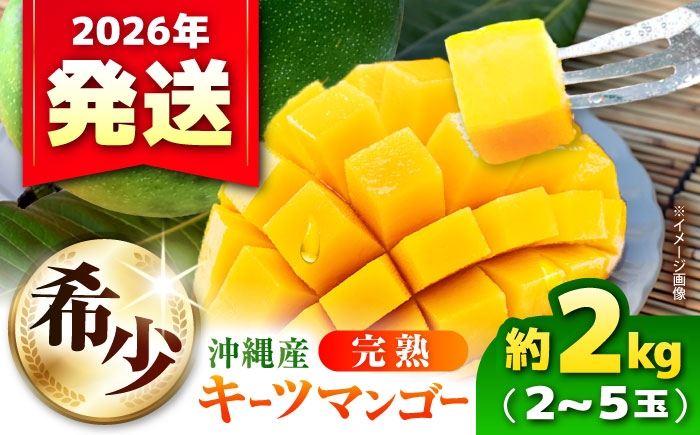 キーツマンゴー マンゴー まんごー 芒果 Mango mango 訳あり 訳アリ わけあり ワケアリ 果物 フルーツ
