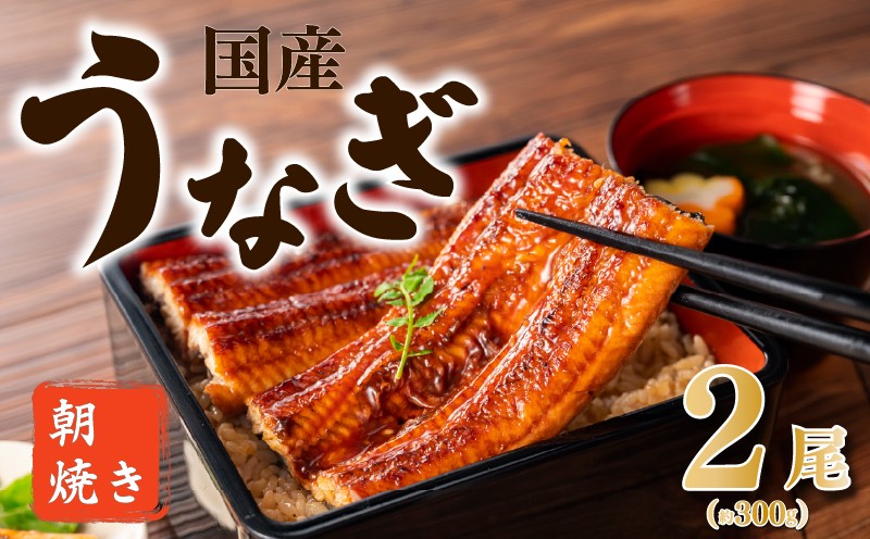 柳川朝焼きうなぎ 2尾入 約150g×2 合計約300g タレ・山椒3袋