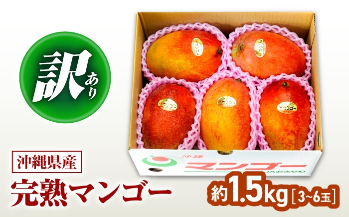 訳あり マンゴー 約1.5kg 完熟マンゴー フルーツ ふるーつ まんごー くだもの 果物 mango 果実 トロピカルフルーツ