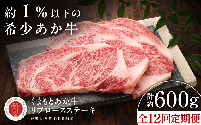 菊陽町 あかうし 熊本県 肉 にく niku ブランド 旨み くまもとあか牛 和牛 阿蘇 自然 自社牧場 直接 最高 定期便