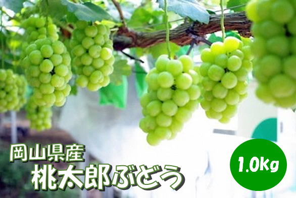 写真はイメージです。